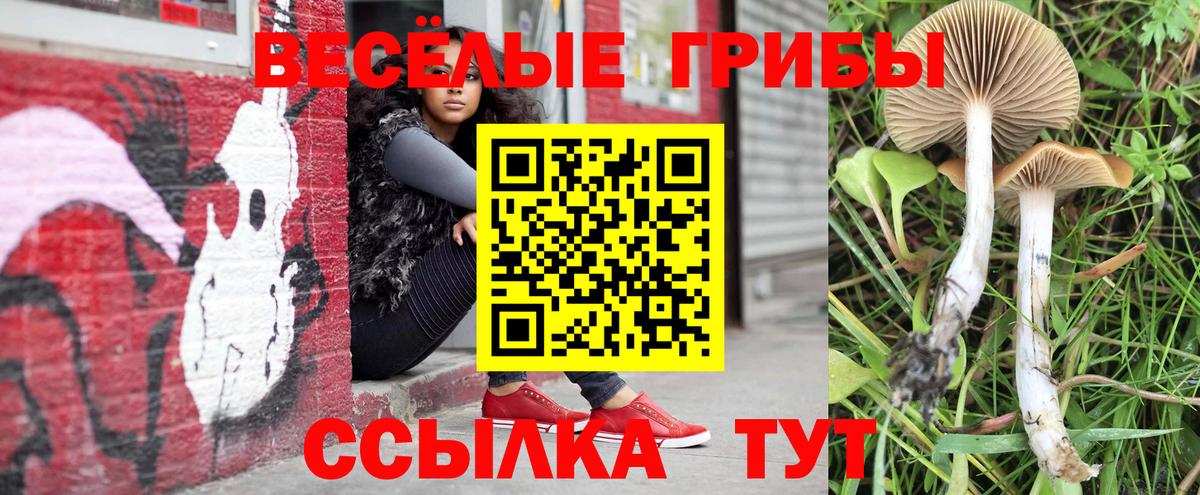 Галлюциногенные грибы Magic Shrooms  Вход с VPN  Лениногорск 